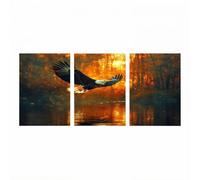 3 Pack Eagle Diamond Painting kit with Diamond Art Accessories, 5D Rhinestones Crystal Art Paint by Numbers 24x36inx3Pack, DIY Triptych Canvas Painting for Wall Artwork for Room Decor Animal Model2097
