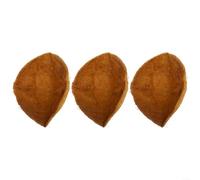 3 Pack Hanging Basket Coco Liners Made from Coconut Fiber Sizes 8 16 Inch, Ensures Plant Stability and Hydration (12in)