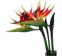 3 Pack Large Birds Of Paradise 32 Inches Permanent Flowers Uv Resistant No Fade Made Of Soft Rubber Artificial Plants For Home Office