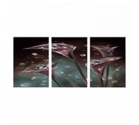 3 Pack Luminescence Flower Paint by Numbers Kit for Adults Landscape Craft Kits with Brushe Glowing Acrylic Paint Set Canvas for Painting 36 x 24 In*3 Wall Art Supplies Gifts for Women JLYH-4312