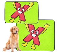 3 Pack Pee Blanket for Dogs Cat Pee Pads for Floor Anti Slip Floor Mat for Beach 20x24in Cheerful Cartoon Letter X Art