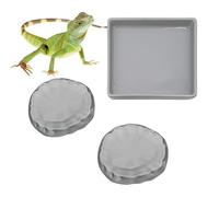 3 Pack Reptile Water Dish Food Bowl, Ceramics Hermit Crab Food & Water Bowl, Bearded Dragon Feeding Dish Kit, Tank or Aquarium Accessory for Turtle Tortoise Lizard Frog Snail Leopard Gecko