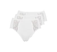 3 Pack Women's Maxi Brief Nostalgie by Pompadour Size 14-24 in three colors