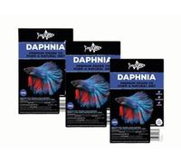 3 Packs of Freshly Frozen Daphnia 30 cubes per pack Fish Food