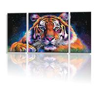 3 Packs Paint by Numbers for Adults, Paint by Numbers Dream Tiger Pattern Design, DIY Craft Art Painting Kit, with Brushes Acrylic Pigment, Hobbies for Adults Women, Room Decor Gifts 32x64in y1s-832