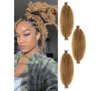 3 Packs Springy Afro Twist Hair with Crochet Hook, 16 Inch Pre-Separated Marley Crochet Braiding Hair for Distressed Soft Locs, Synthetic Hair Extension for Women(27#)