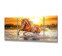 3 Packs Sunset Paint by Numbers for Adults Horse Paint by Numbers Kits on Canvas 28x56 inch, DIY Acrylic Oil Painting with Brushes, Craft Kits for Adults UK, Home Decoration, Gifts for Women 0q-223