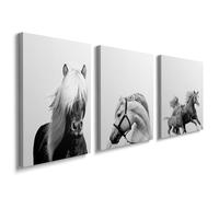 3 Panel Wall Decor Print Animal Canvas Wall Art Framed Pictures Home Decoration Artwork Horse Painting Prints for Special Occasions 12x16Inch YH1808