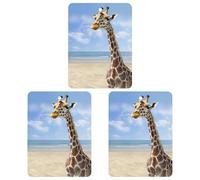 3 PCS Car Air Freshener Cards Personalized Beach Giraffe Automotive Air Fresheners Long-Lasting Double Sided Hanging Scented Card for Car Rearview Wardrobe Bathroom White