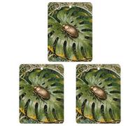 3 PCS Car Air Freshener Cards Personalized Beetle Monstera Leaf Automotive Air Fresheners Long-Lasting Double Sided Hanging Scented Card for Car Rearview Wardrobe Bathroom White