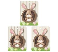 3 PCS Car Air Freshener Cards Personalized Easter Bunny Automotive Air Fresheners Long-Lasting Double Sided Hanging Scented Card for Car Rearview Wardrobe Bathroom Black