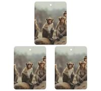 3 PCS Car Air Freshener Cards Personalized Sitting Monkey Automotive Air Fresheners Long-Lasting Double Sided Hanging Scented Card for Car Rearview Wardrobe Bathroom Black