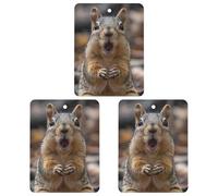 3 Pcs Car Air Fresheners Hanging Fragrance Scented Cards Auto Tablets Rearview Mirror Pendant Squirrel Opens Its Mouth Car Fresheners for Auto Interior Bedroom Wardrobe Shoe Cabinet