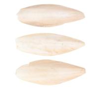 3 Pcs Cuttlebone Chew for Parrot Birds, Calcium Support, 18-20cm