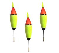 3 Pcs Fishing Float Set, Luminous Fishing Slip Bobbers Night Fishing EVA Foam Floats with Green LED for Pike Carp Bass (10/20/30g)