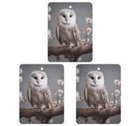 3 Pcs Hanging Air Freshener for Car A Small White Barn Owl Aromatherapy Tablets for Wardrobe Car Home Decor