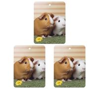 3 Pcs Hanging Air Freshener for Car Cute Guinea Pig Aromatherapy Tablets for Wardrobe Car Home Decor