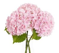 3 Pcs Hydrangea Artificial Flowers Realistic Latex Faux Hydrangeas Flowers Real Touch Full Heads, Lifelike Long Stem & Leaves for Wedding Outdoor Table Centerpieces Home Party Decoration (Pink)