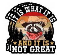 3 Pcs It is What It is Sticker and It is Not Great Funny Raccoon Meme Mental Health Sarcastic Waterproof Vinyl Sticker for Water Bottle Tumbler Phone Case Laptop Cars Gift for Men Women (3 inches)