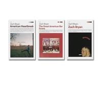 3 PCS Music Album Cover Poster Zach Poster Brian Poster Zach Poster Bryan Poster Album Cover Posters Zach Poster Bryan Poster American Heartbreak Album Cover Canvas Posters Poster Wall Art Canvas Pos