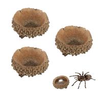 3 Pcs Tarantula Hide Terrarium Landscaping Natural Nut Shell Decoration for Spider Tarantula Small Insect (Small Size)