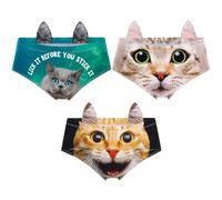 3 Pcs Women's Funny Naughty 3D Printed Cat Tail Underwears Sexy Briefs with Cute Ears Bachelorette Party Gifts, Colorful, L