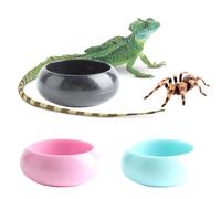 3 Pcs Worm Dish Reptile Food Bowl Tarantula Water Bowl for Spider Tarantula Gecko Lizard Small Reptile
