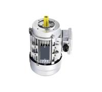3 Phase AC Asynchronous Motor, 14mm Shaft 0.25-0.75kW 1400/2800RPM 380V Aluminum Motor B14 Flange Vertical Mount(7114-0.25KW 14 Axes 1400rpm)
