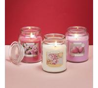 3 Piece 100hr Scented Candle Gift Set