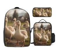 3 Piece Backpack for Women Men Lightweight Causal Daypack Shoulder Bag Set with Insulated Lunch Bag And Pencil Case Organizers Geese Walking on The Grass