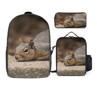 3 Piece Backpack for Women Men Lightweight Causal Daypack Shoulder Bag Set with Insulated Lunch Bag And Pencil Case Organizers Squirrel Just Laying