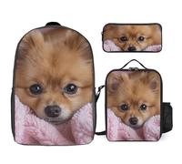 3 Piece Backpack for Women Men Lightweight Causal Daypack Shoulder Bag Set with Insulated Lunch Bag And Pencil Case Organizers Lying on Blanket