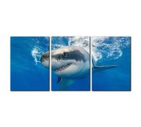 3 Piece Blue Wall Art Painting Great White Shark Catching Fish At Guadalupe Island Pictures Prints on Canvas Animal The Picture Decor for Home Modern Decoration for Living Room - 20"x28"x3 Panels