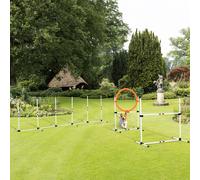 PawHut 3-Piece Suit Agility Set For Dog Training Exercise - White, White