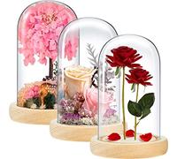 3 Pieces 8 x 4.7in Glass Cloche Display Dome, Decorative Glass Bell Jar with Solid Wood Base, Clear Cloche Dome Display Case for Home Decor, Craft, Plants, Light