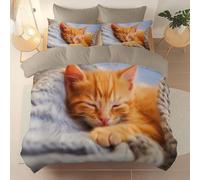 3 Pieces Brushed Microfiber Queen Duvet Cover Set, Super Soft Beige Reversible Design Zippered Comforter Cover, For the Adults Animal Modern Cat Warmth theme Bedding, With 4 corner straps