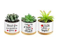 3 Pieces Teacher Appreciation Gift Set Ceramic Succulent Plant Pot Mini Succulent Cactus Planter Pot Birthday Retirement Gifts for Teacher (Bright Style)
