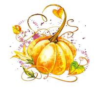 3-Ply Daisy Halloween Theme Decoupage Serviettes Tissue Paper Napkins Serviettes 33cm x 33cm - Pack of 20 (Mature Pumpkin)
