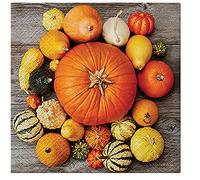 3-Ply Halloween Theme Decoupage Serviettes Tissue Paper Napkins Serviettes 33cm x 33cm - Pack of 20 (Pumpkin Composition)