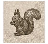 3-Ply Quality ECO Biodegradable Paper Napkins Serviettes 33cm x 33cm (Pack of 20) (Squirrel)