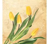 3-Ply Spring Flower Tissue Paper Napkins Serviettes for Decoupage Lunch 33cm x 33cm - Pack of 20 (Bunch of Yellow Tulips)