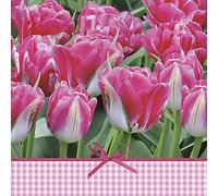 3-Ply Spring Flower Tissue Paper Napkins Serviettes for Decoupage Lunch 33cm x 33cm - Pack of 20 (Pink Tulips Time)