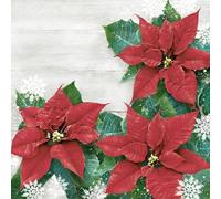3-Ply Xmas Decoupage Tissue Paper Napkins Decorative Christmas Serviettes 33cm x 33cm - Daisy - Pack of 20 (Red Poinsettias Frame)