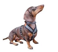 3 Point Harness with Anti Pull - Ideal for Libreles: Italian Greyhound Whippet Greyhound Podenco - Safe, Breathable and Durable Perfect for Hiking, Training and Running, Charcoal, S
