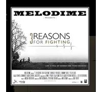 3 Reasons for Fighting by MELODIME