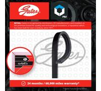 GATES Micro-V Belt 3PK800