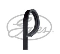 Gates 3PK863SF V-Ribbed Belt