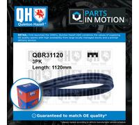 3 Rib Multi V Drive Belt QBR31120 Quinton Hazell 9936331120 9936391120 3PK1117