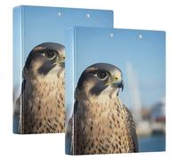 3 Ring Binder Falcon Black A4 Binders with Clip Hold 200 Sheets with PVC Pockets Files Organisation for School Office Supplies 2 Pack