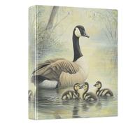 3 Ring Binder Swan A4 Binders with Clip Hold 200 Sheets with PVC Pockets Files Organisation for School Office Supplies 1 Pack